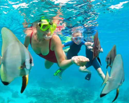 Happy family - mother, kids in snorkeling mask dive underwater, explore tropical fishes in coral reef sea pool. Travel active lifestyle, beach adventure, swimming activity on summer holiday with child