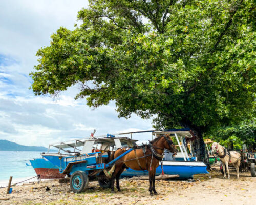People in Gili Air, Lombok use horse as carriage. There are some carriages near the beach.