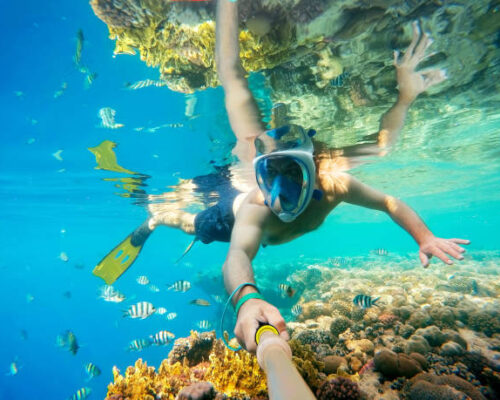 Snorkel swim in underwater exotic tropics paradise with fish and coral reef, beautiful view of tropical sea. Marsa alam, Egypt. Summer holiday vacation concept