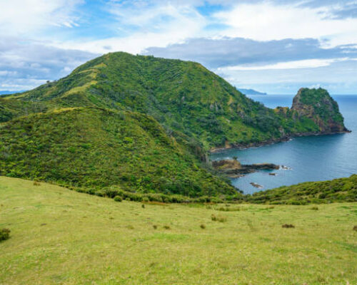 Hiking the Coromandel Coastal Walkway. Rainforest and a steep coast with beatiful views. New Zealand